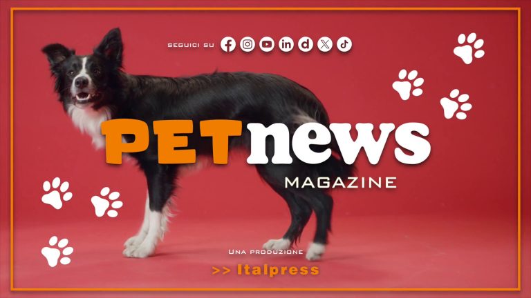 PetNews Magazine – 15/4/2025