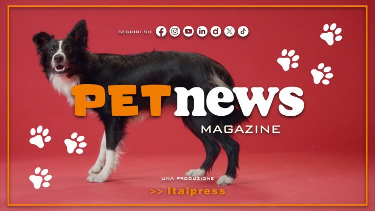 PetNews Magazine – 22/4/2025