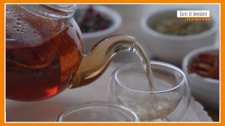 Sorsi di Benessere – Cubetti di tisana per aromatizzare l’acqua