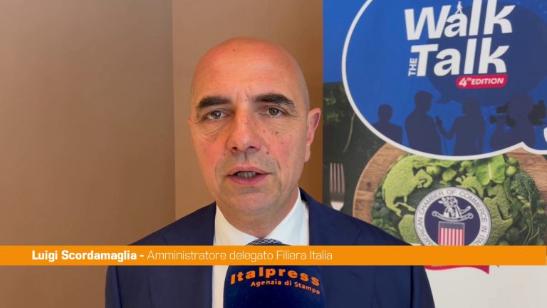 Scordamaglia “Mercato Usa insostituibile per filiera agroalimentare”