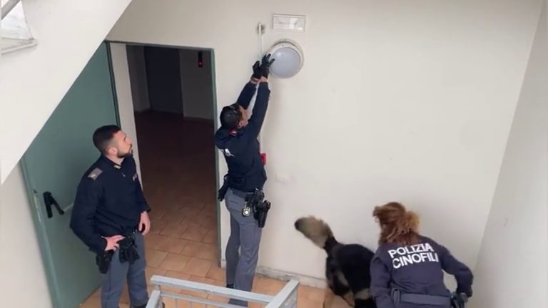 Catania, sequestrata marijuana nascosta in una plafoniera