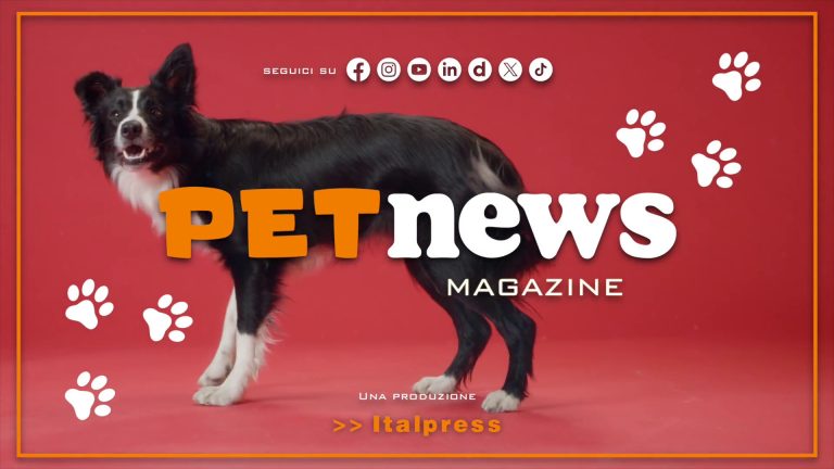 PetNews Magazine – 8/4/2025
