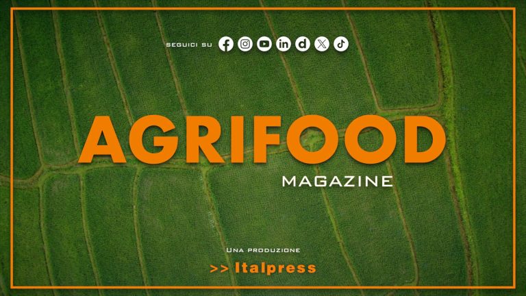 Agrifood Magazine – 30/4/2025