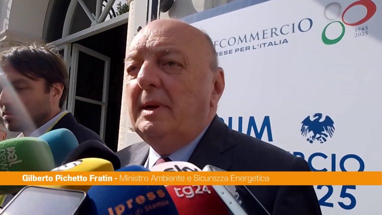Pichetto “Per rendere l’Italia competitiva aumentare le rinnovabili”