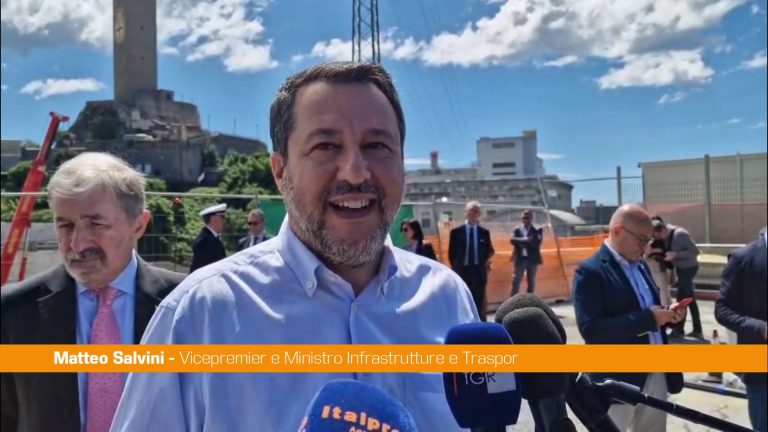 Fecondazione assistita, Salvini “Da Consulta sentenza politica”