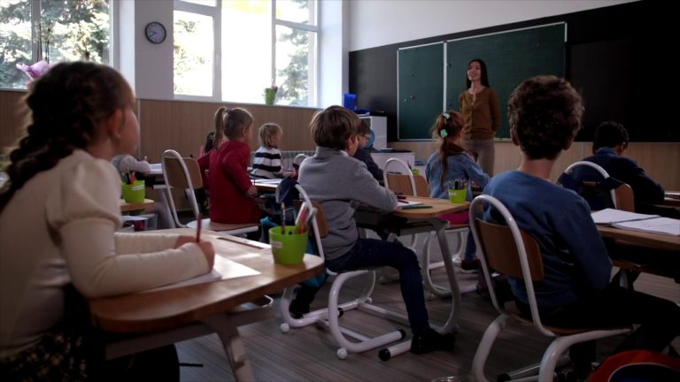 Elezioni RSU, Anief in crescita