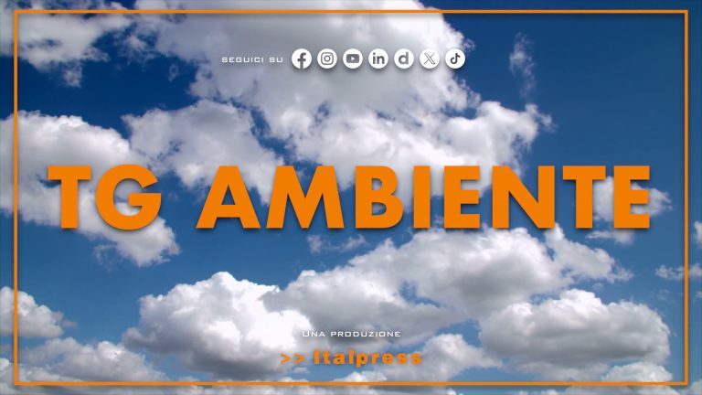 Tg Ambiente – 11/5/2025