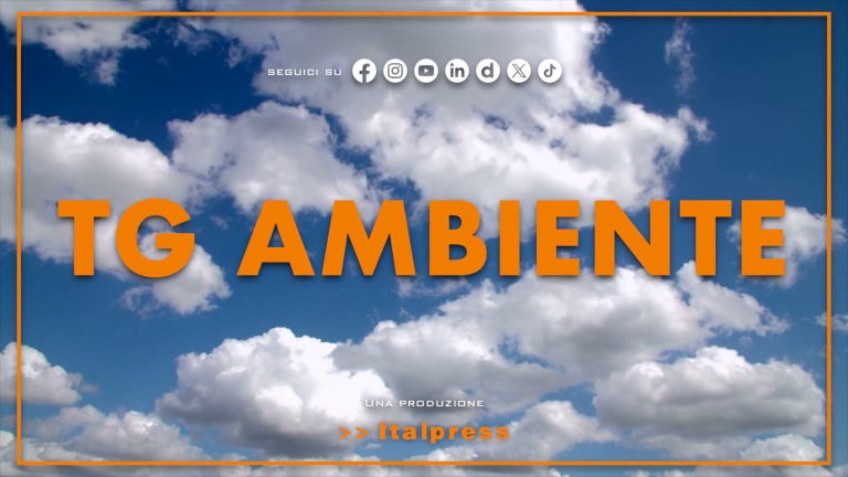Tg Ambiente – 4/5/2025