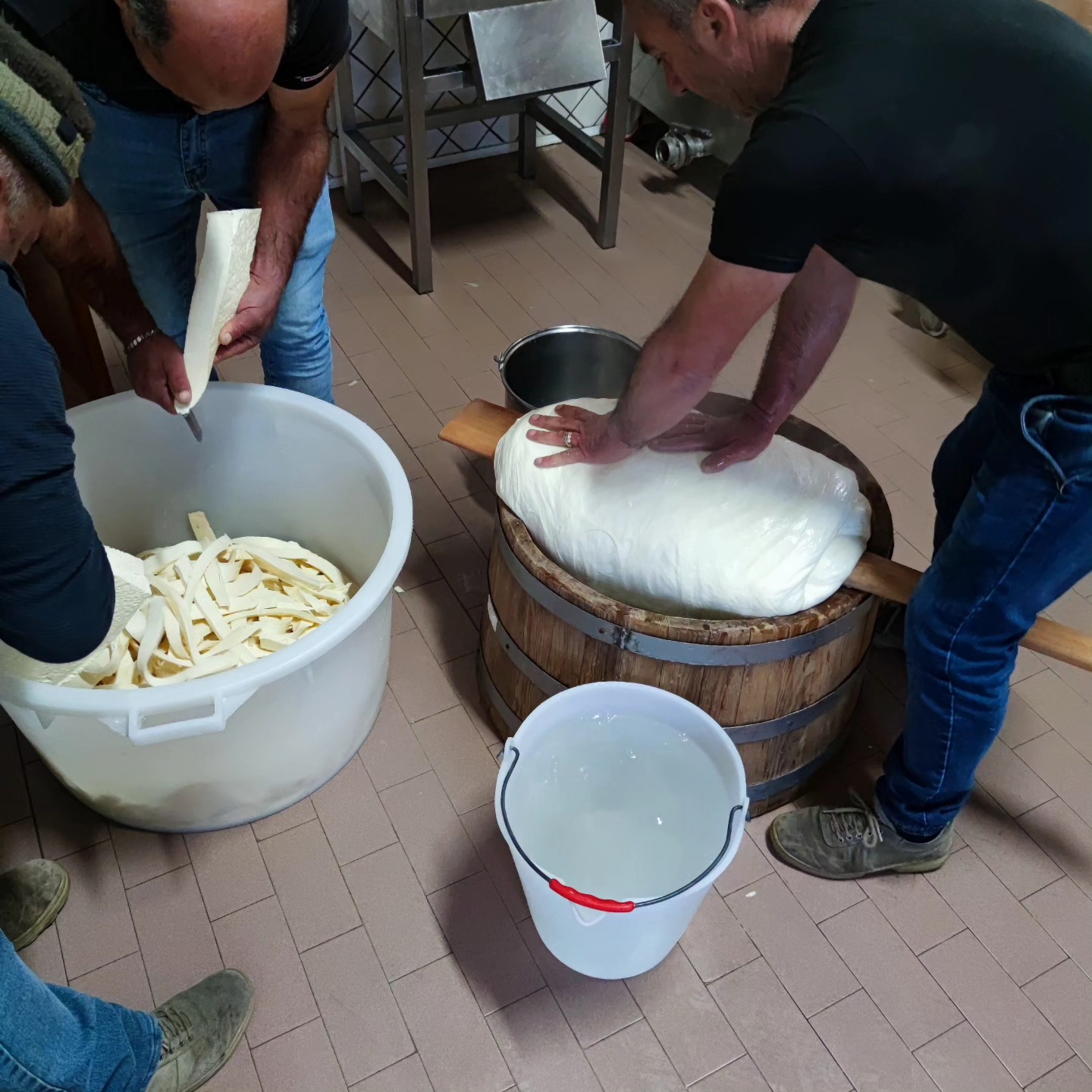 I Nebrodi “celebrano” la provola DOP