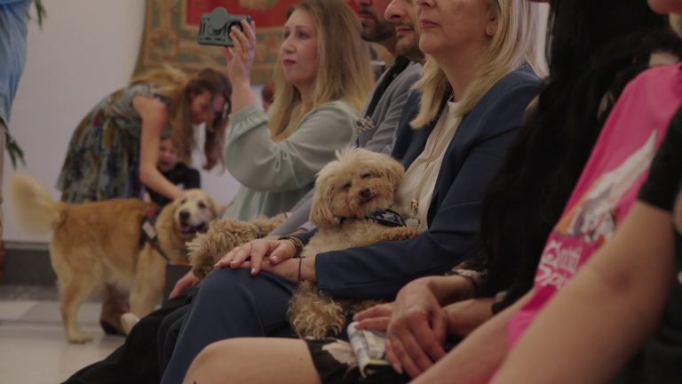 Animali, assegnati i premi Penna d’Oca del Campidoglio