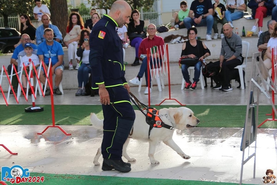 “Helen Keller”, cerimonia consegna cani guida