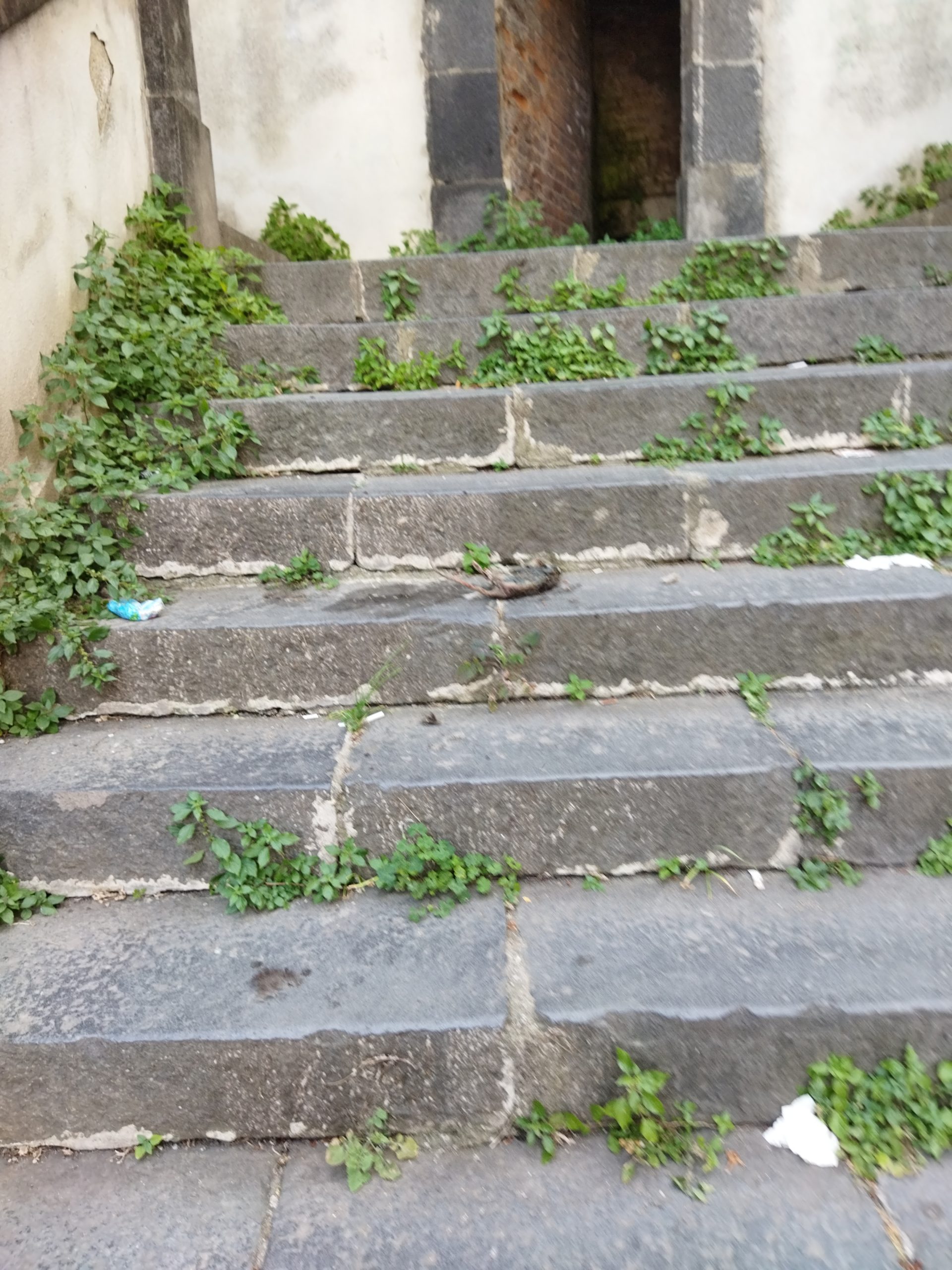 Scalinata via Latina sudicia e popolata dai topi…