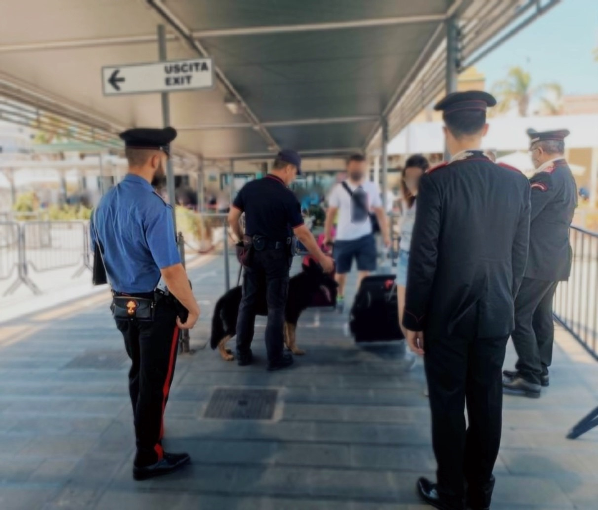 Controlli dei carabinieri: scattano 15 denunce