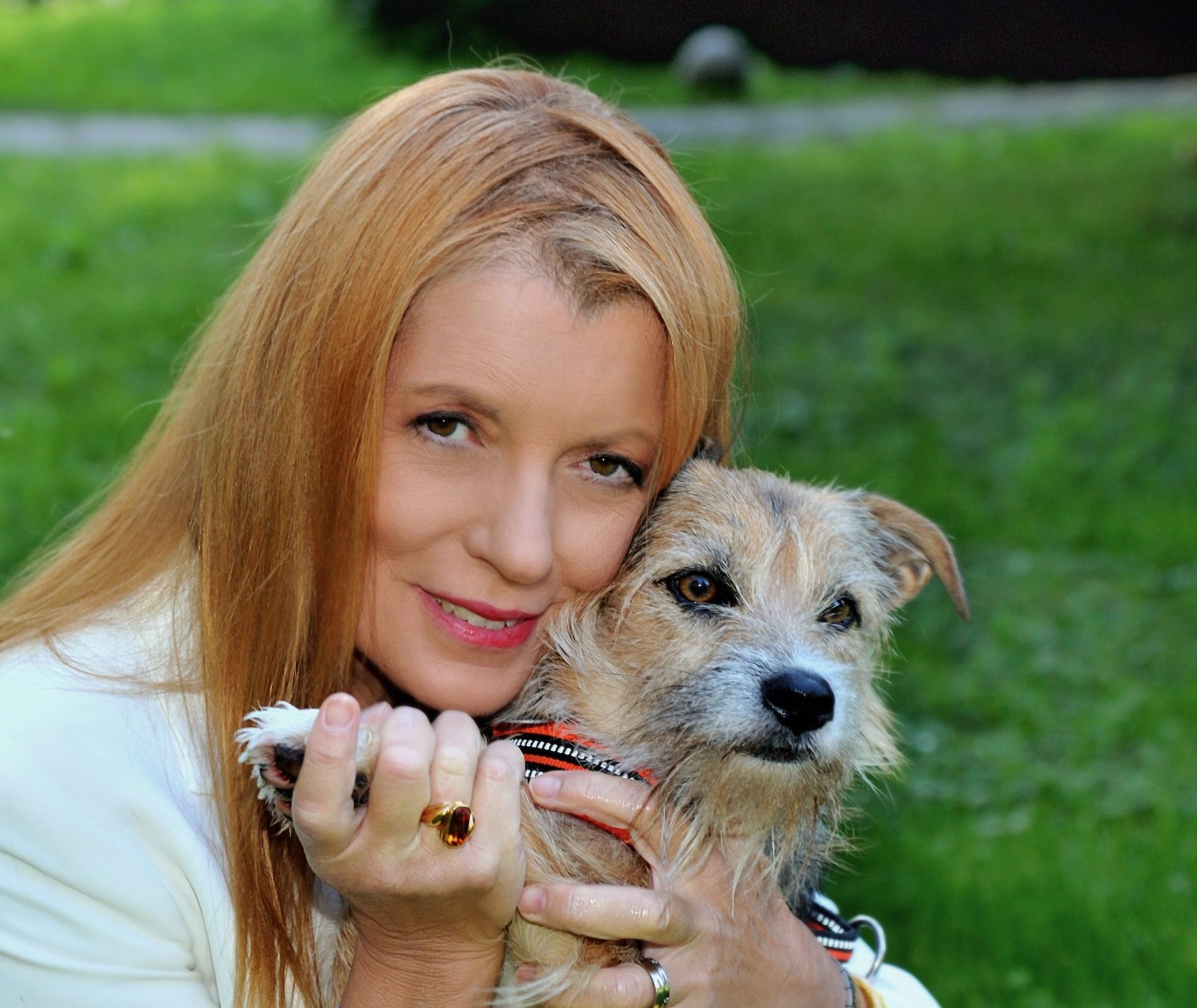 Tutela animali, da oggi in vigore la “legge Brambilla”