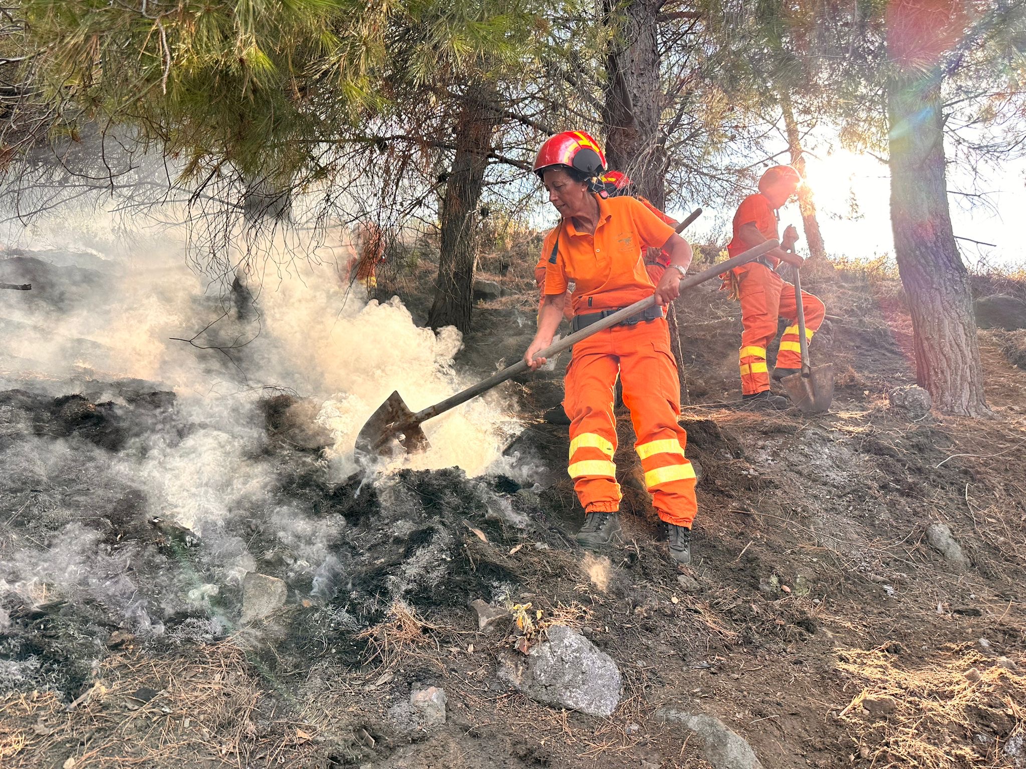 Provvidenziale intervento della Forestale a Vulcano