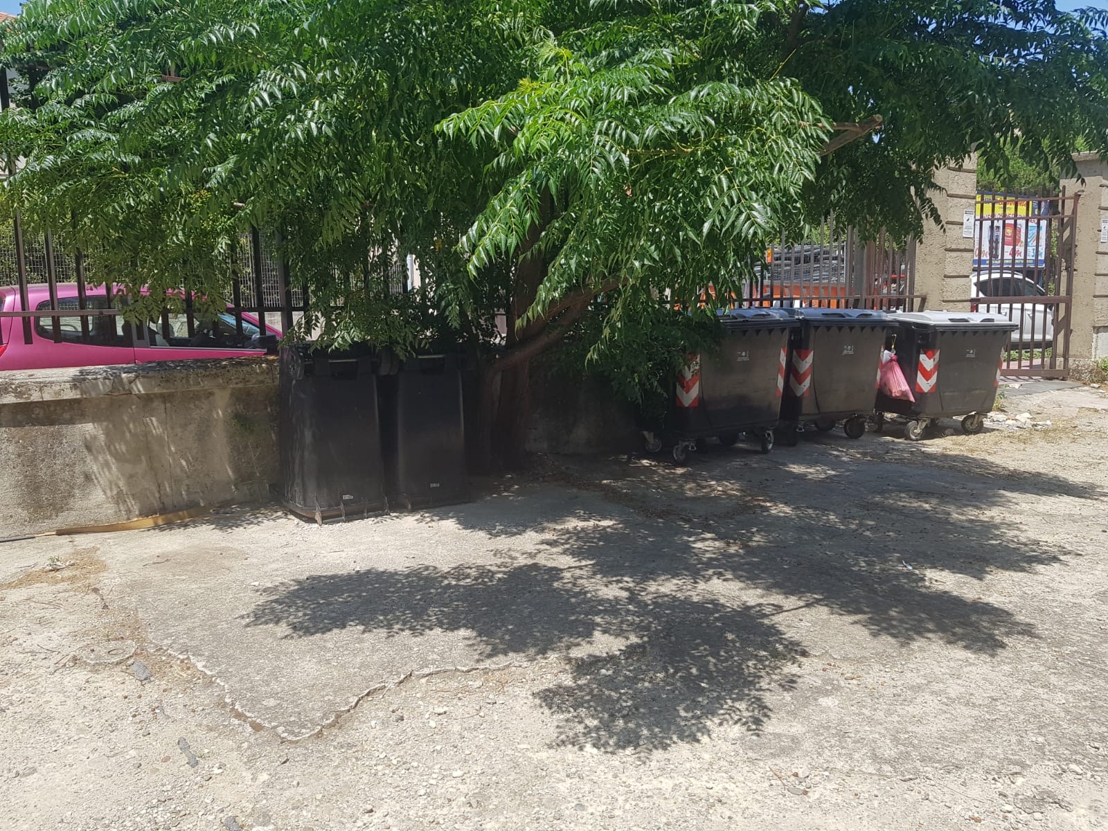 Bucalo: “Ripulito condominio, la Interdonato si dimetta”