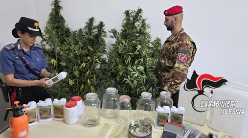 Scoperta piantagione di marijuana: scattano 2 arresti
