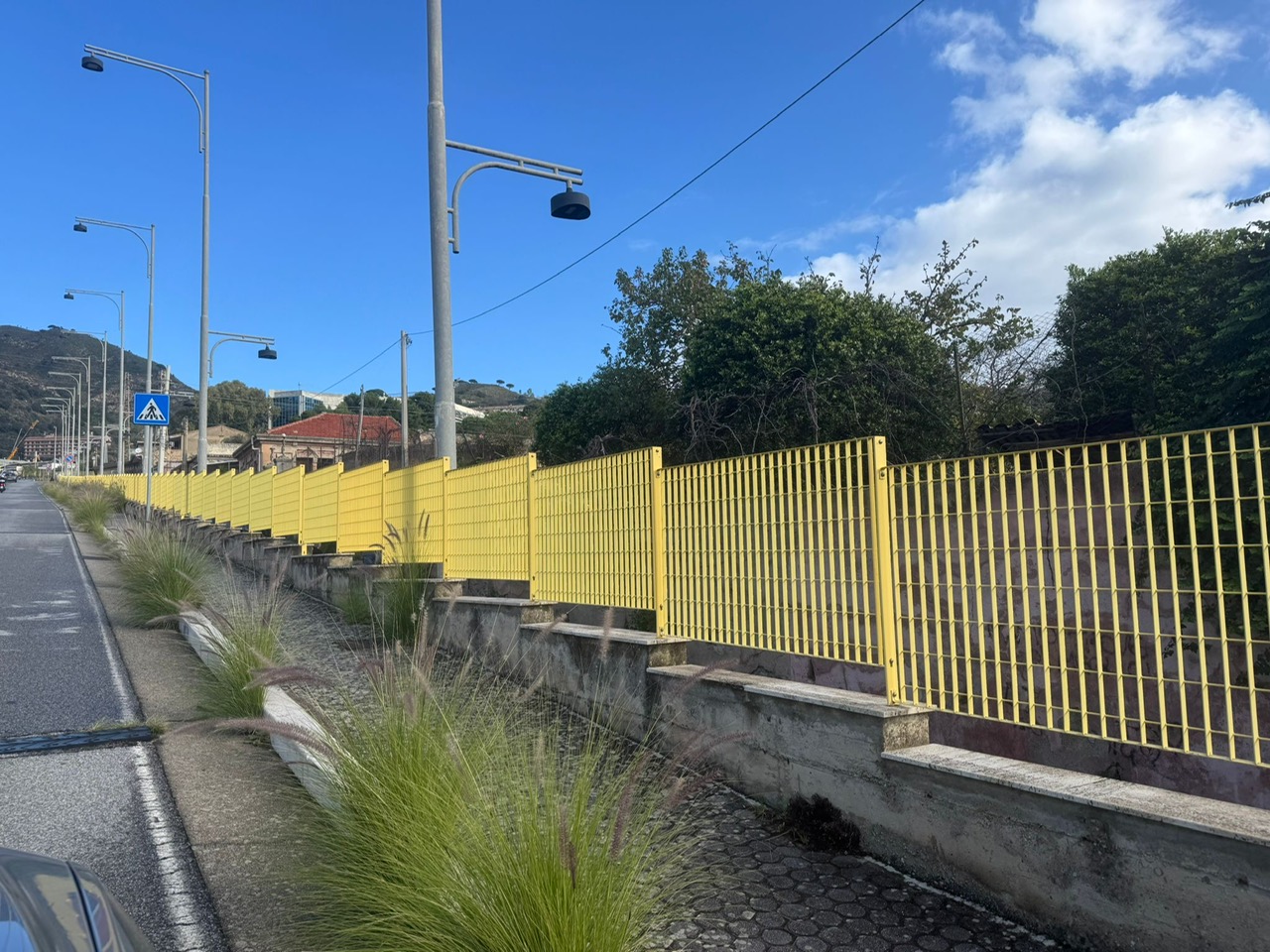 Viale Annunziata invaso dalla vegetazione