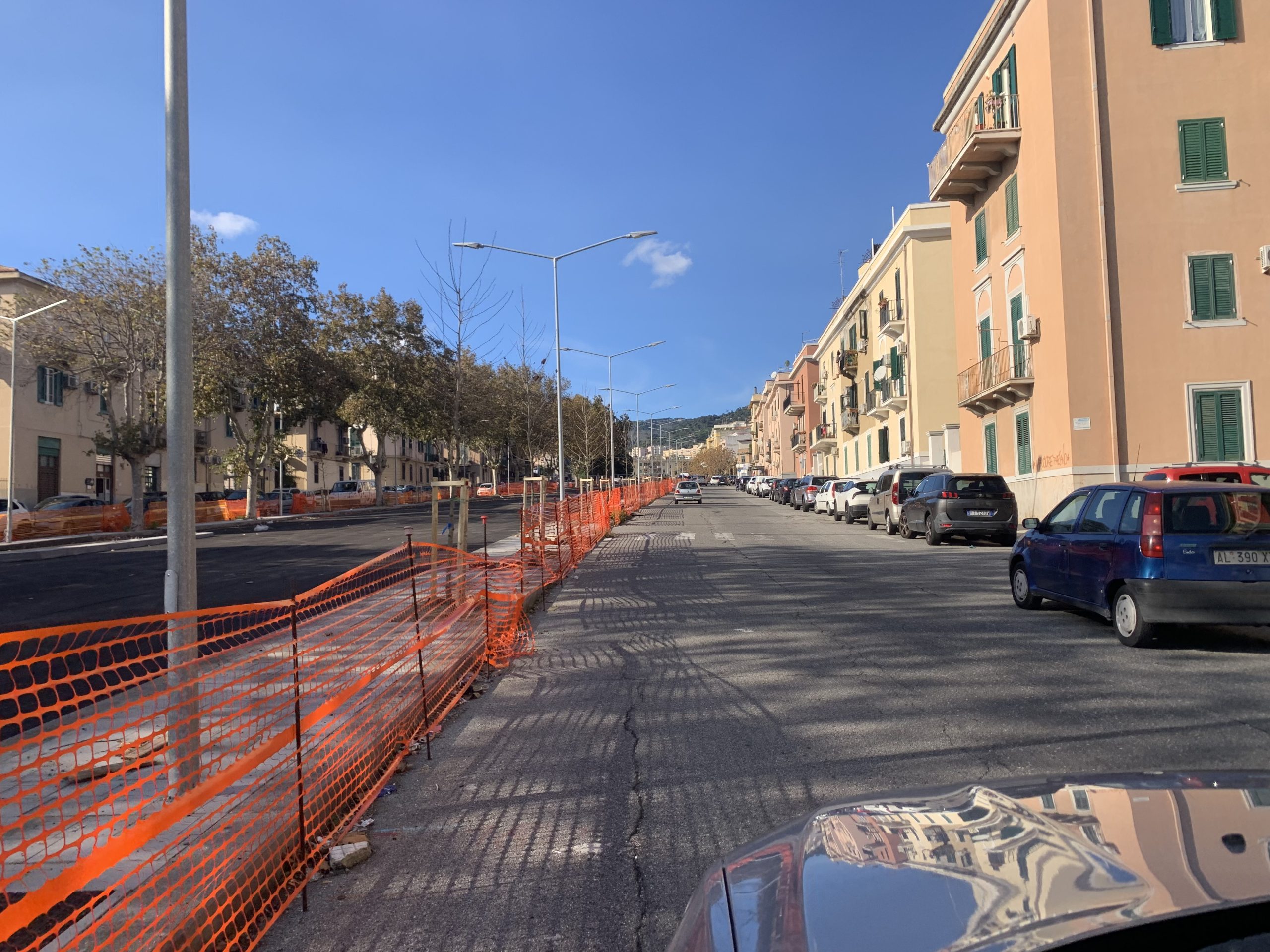 Viale Giostra: togli il platano, metti il platano