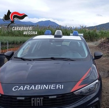 Reati ambientali, sequestrati 2 frantoi nel messinese