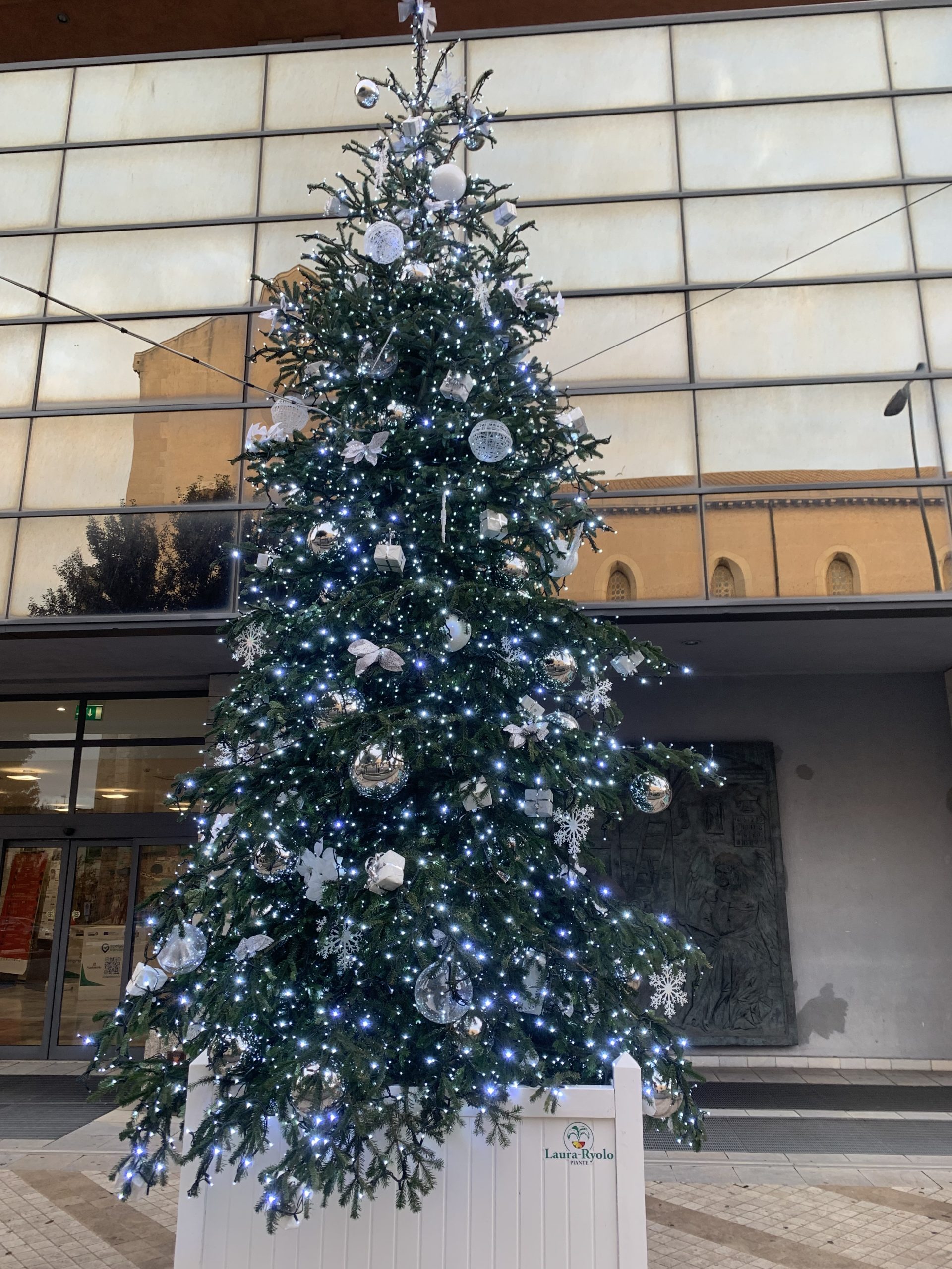 Ecco uno degli alberi di Natale costato 18mila euro