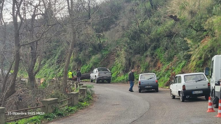 Schianto di un albero sulla strada Curcuraci-Le Masse