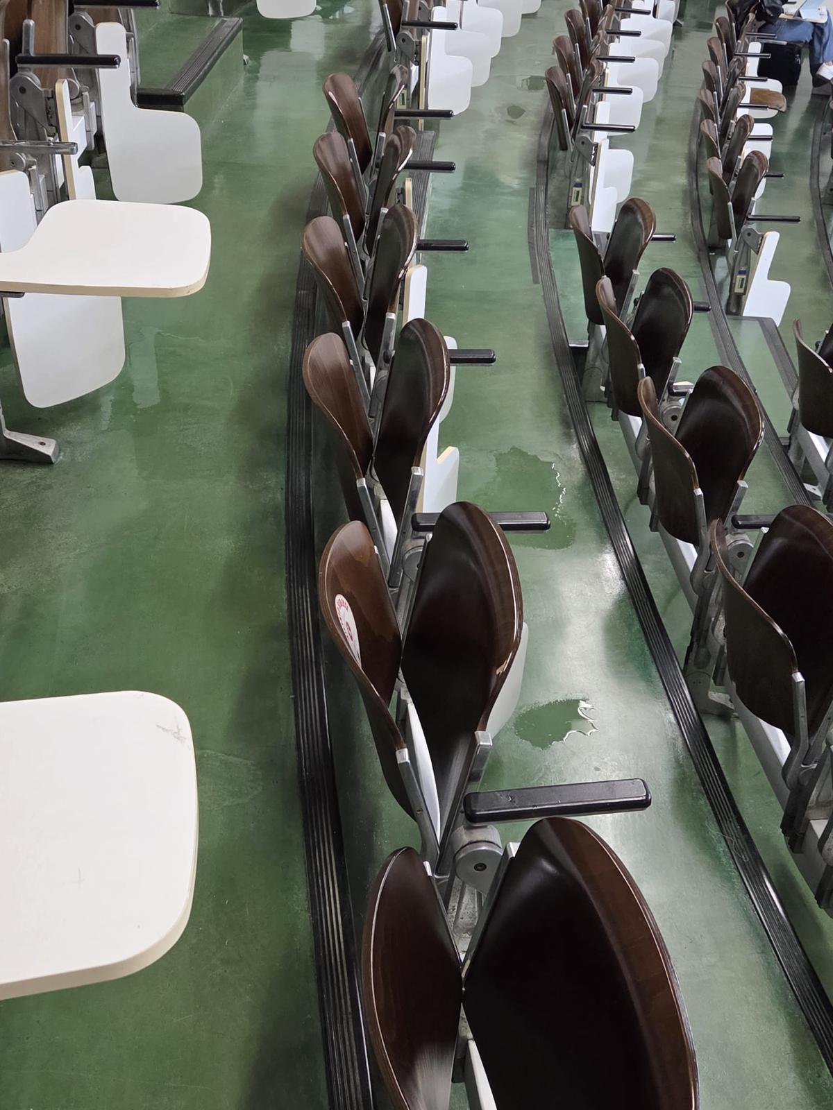 Paglione E sporco: la denuncia degli studenti di UDU