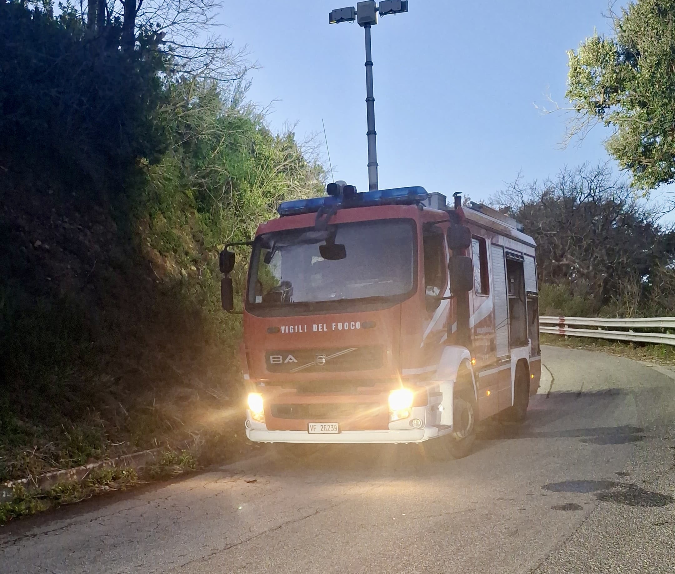 Curcuraci-Masse, alberi pericolanti: intervento dei VdF