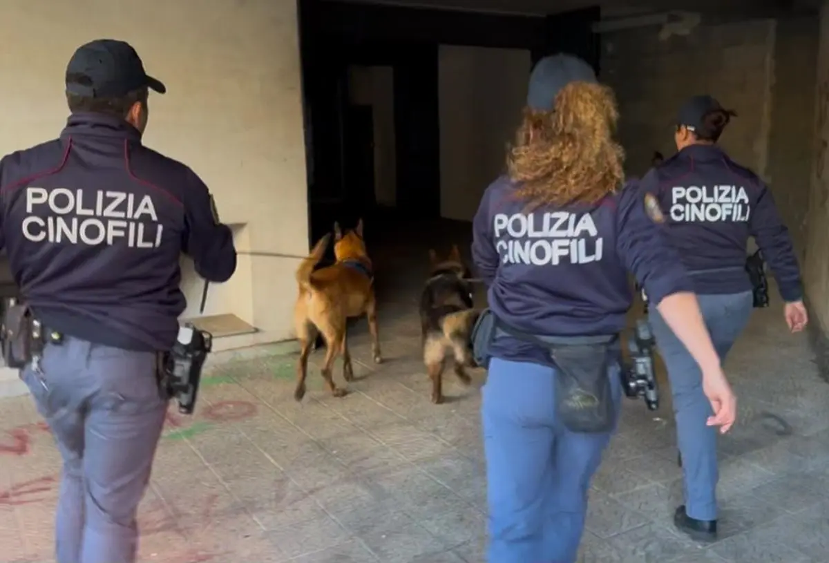 Catania, cani antidroga scovano un kg e mezzo di marijuana nel quartiere San Cristofaro