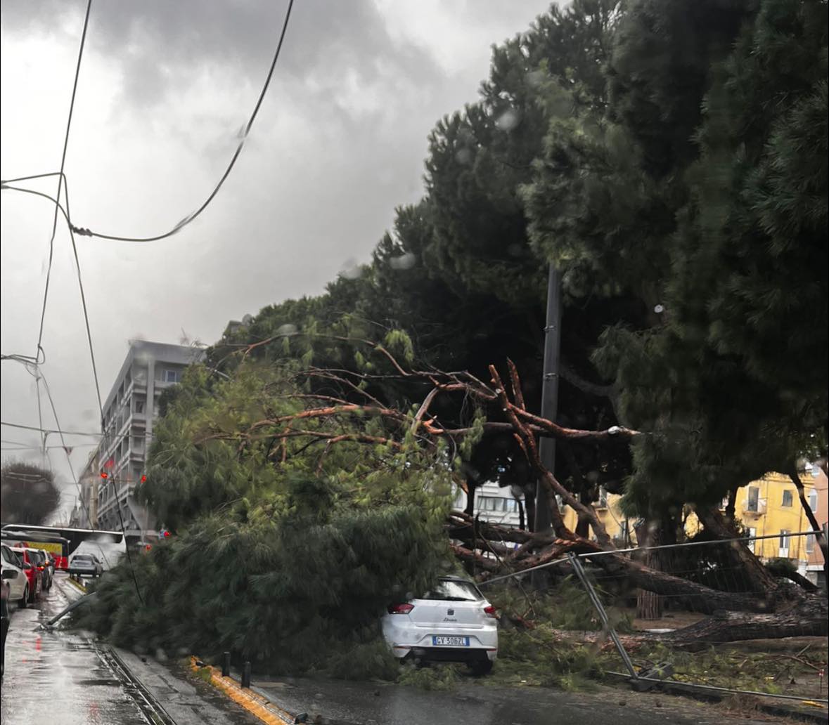 Via ai contributi statali per i danni del maltempo