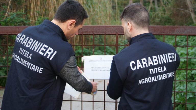 Truffe all’UE, scattano arresti anche sui Nebrodi