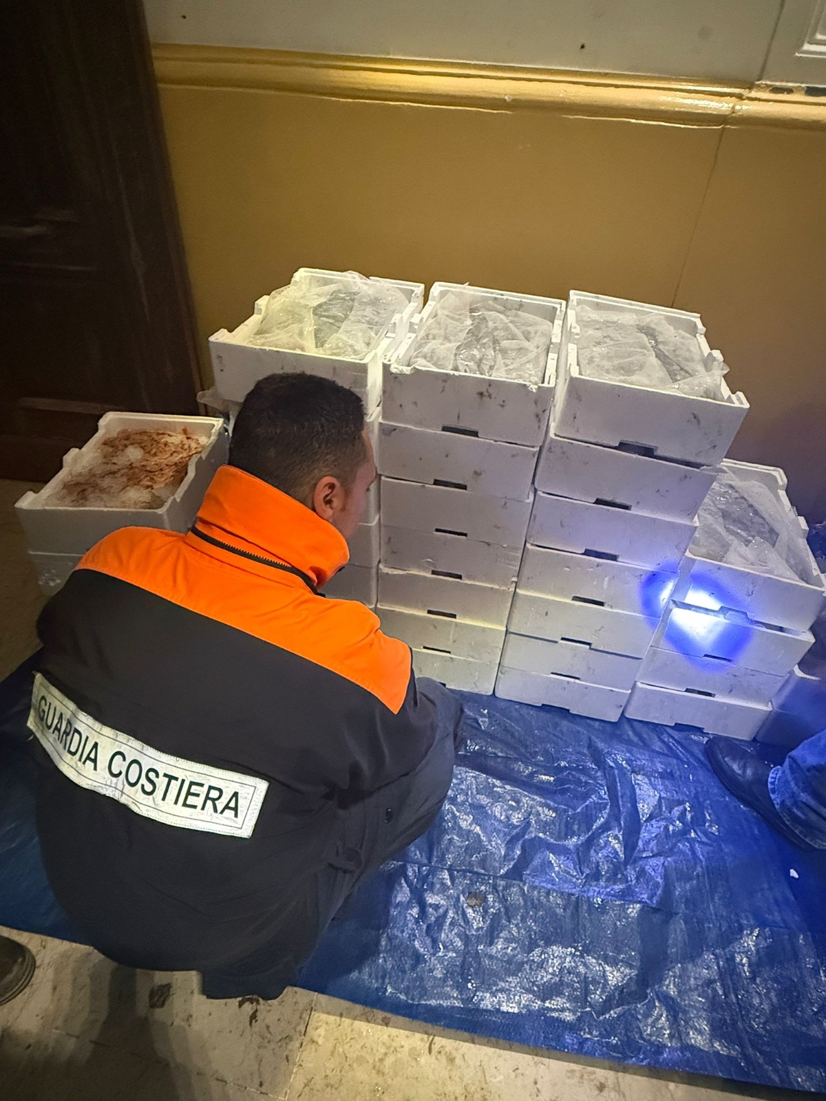 Capitaneria Messina, sequestrati 200 kg di novellame
