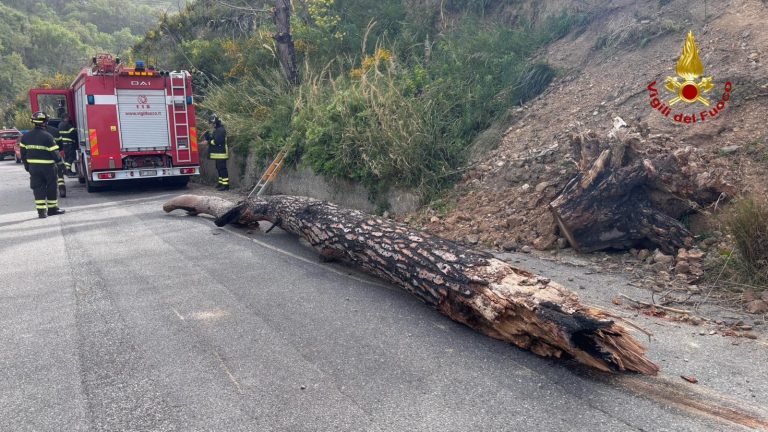 Danni Scirocco, interventi dei vigili del fuoco sui Peloritani