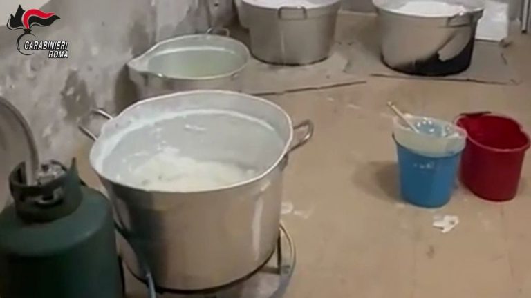 Dall’Ecuador al litorale laziale, smantellato cartello della cocaina