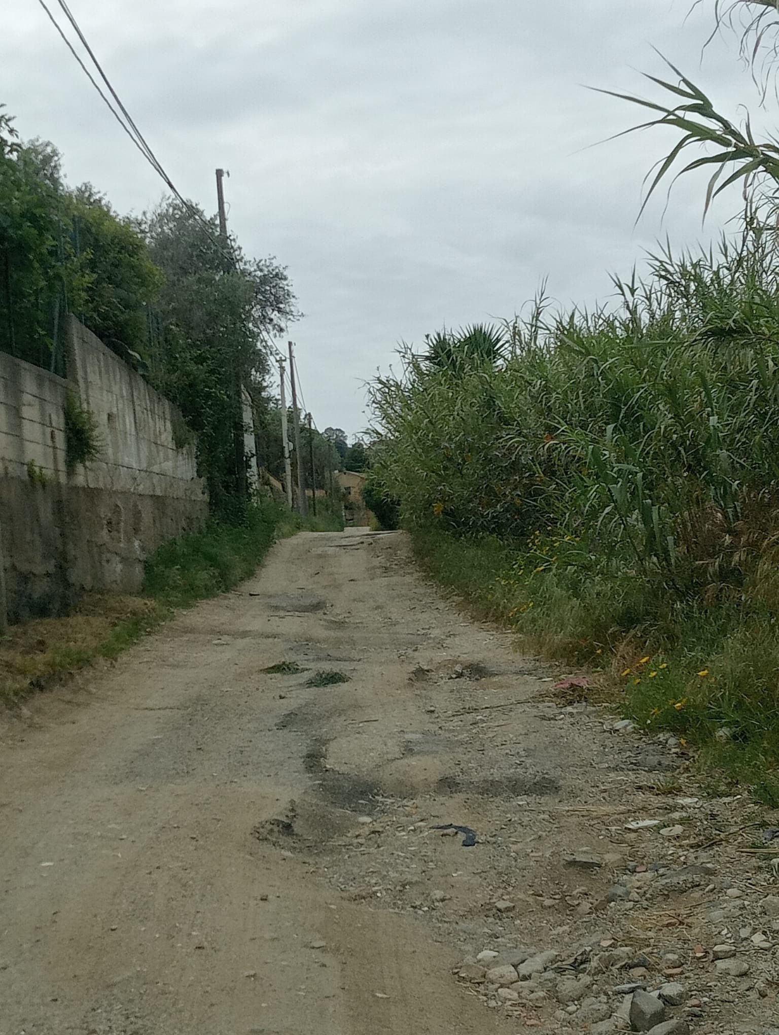 Papardo, questa sarebbe una strada comunale?