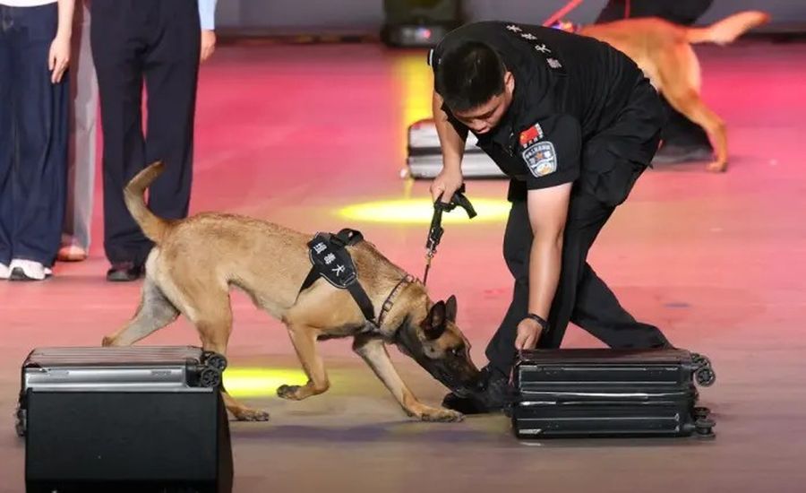 Cina, da inizio anno sequestrate oltre 4 tonnellate di droga alle frontiere