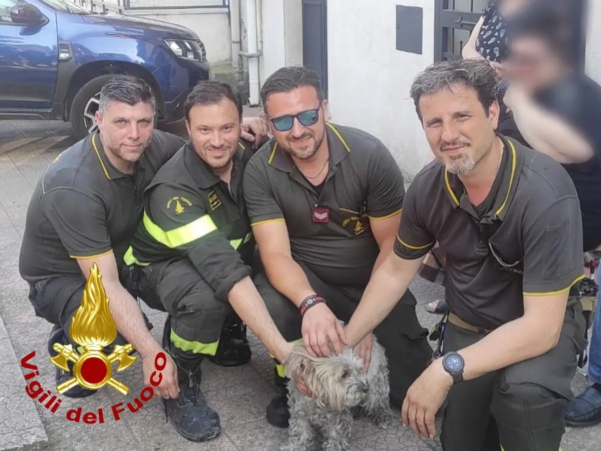 Incendio in una palazzina nel Catanese, salvate due persone e una cagnolina