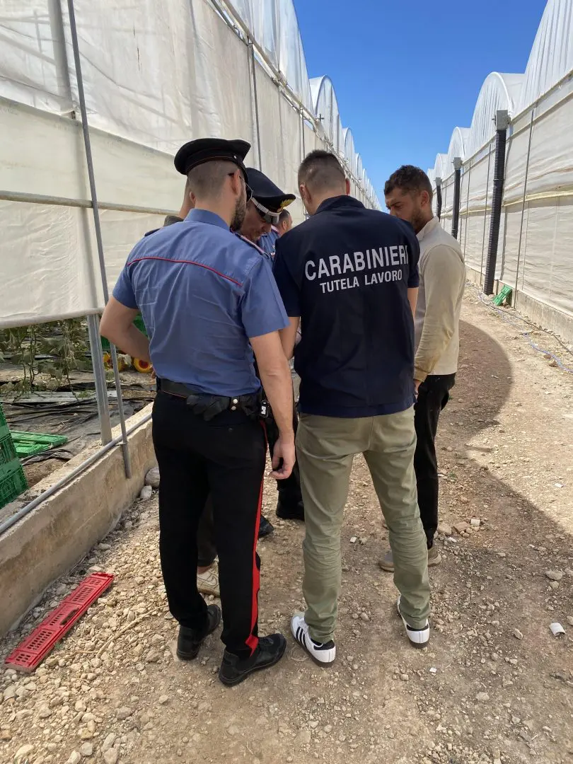 Lotta al caporalato, 15 datori di lavoro denunciati e 5 attività sospese nel Palermitano