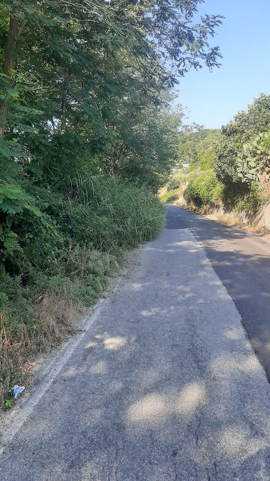 Pagano e Previti: “Strade provinciali collinari dimenticate”