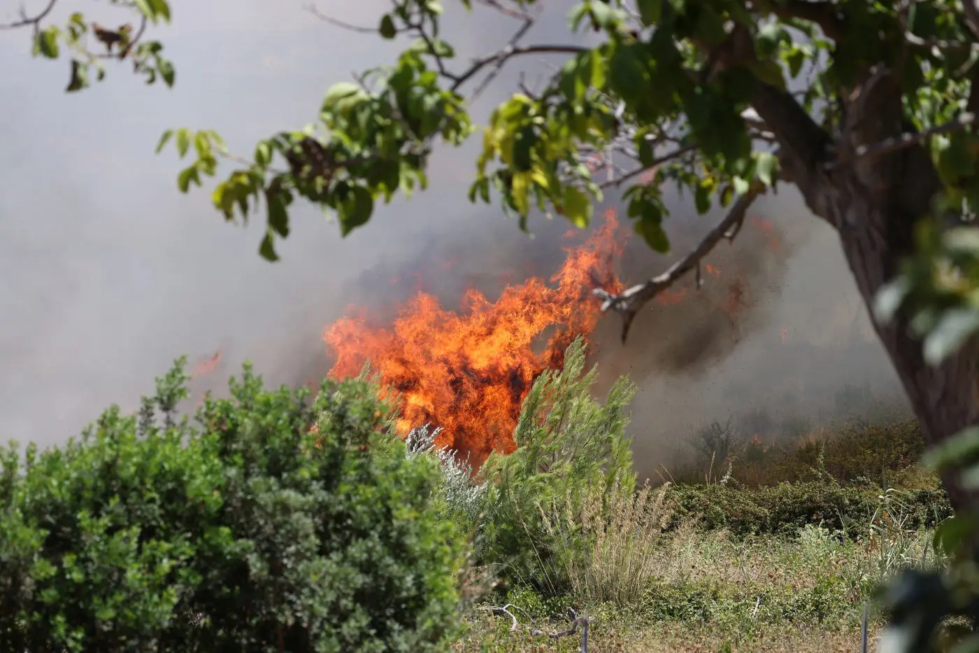 Incendi, il sindaco di Taormina De Luca “Azioni esecutive sui privati che non puliscono i terreni”