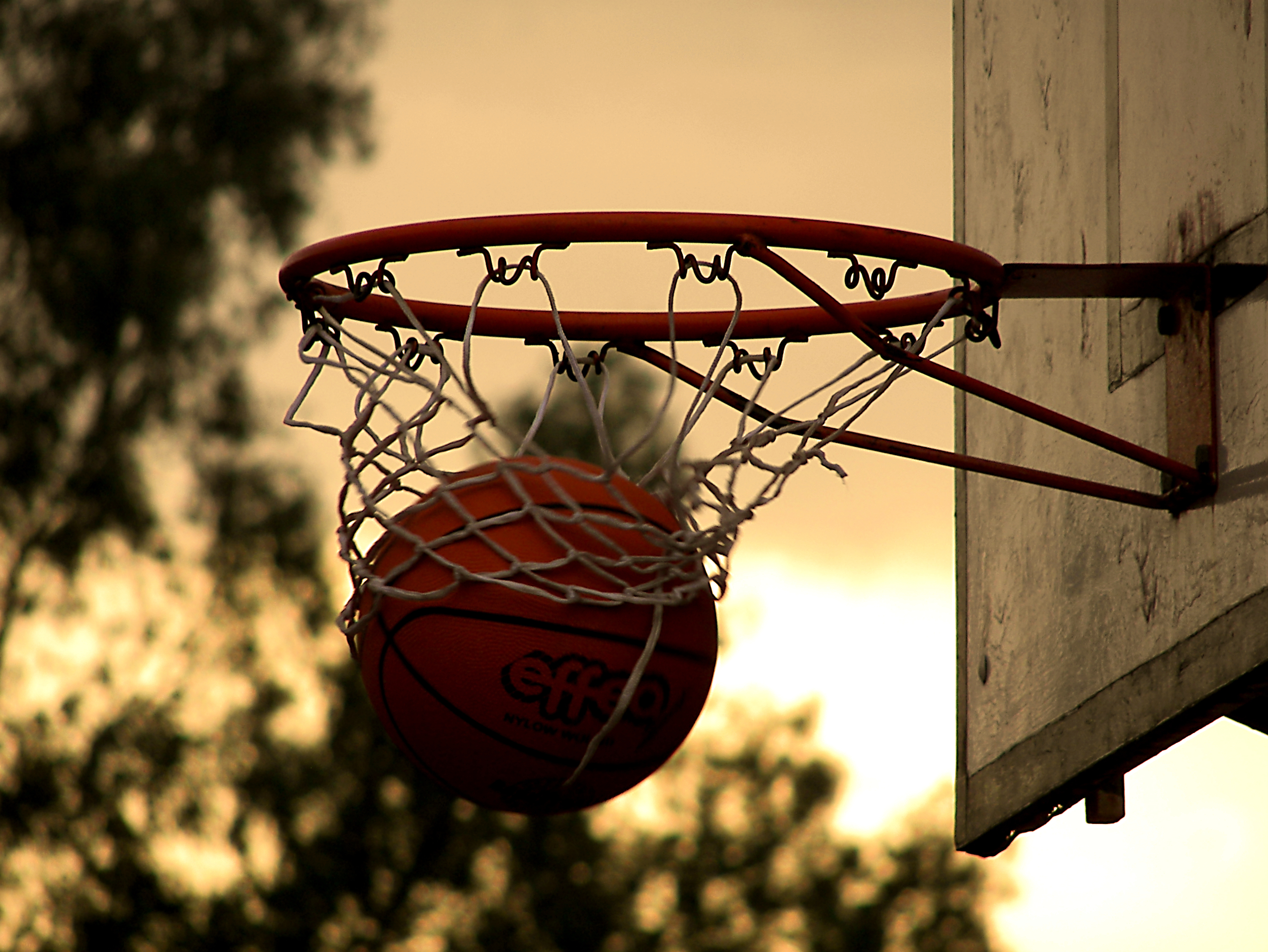 Basket, Barcellona acquista il titolo della Viola e cancella la storica squadra reggina