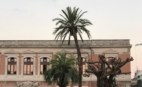 Università: palma a rischio schianto