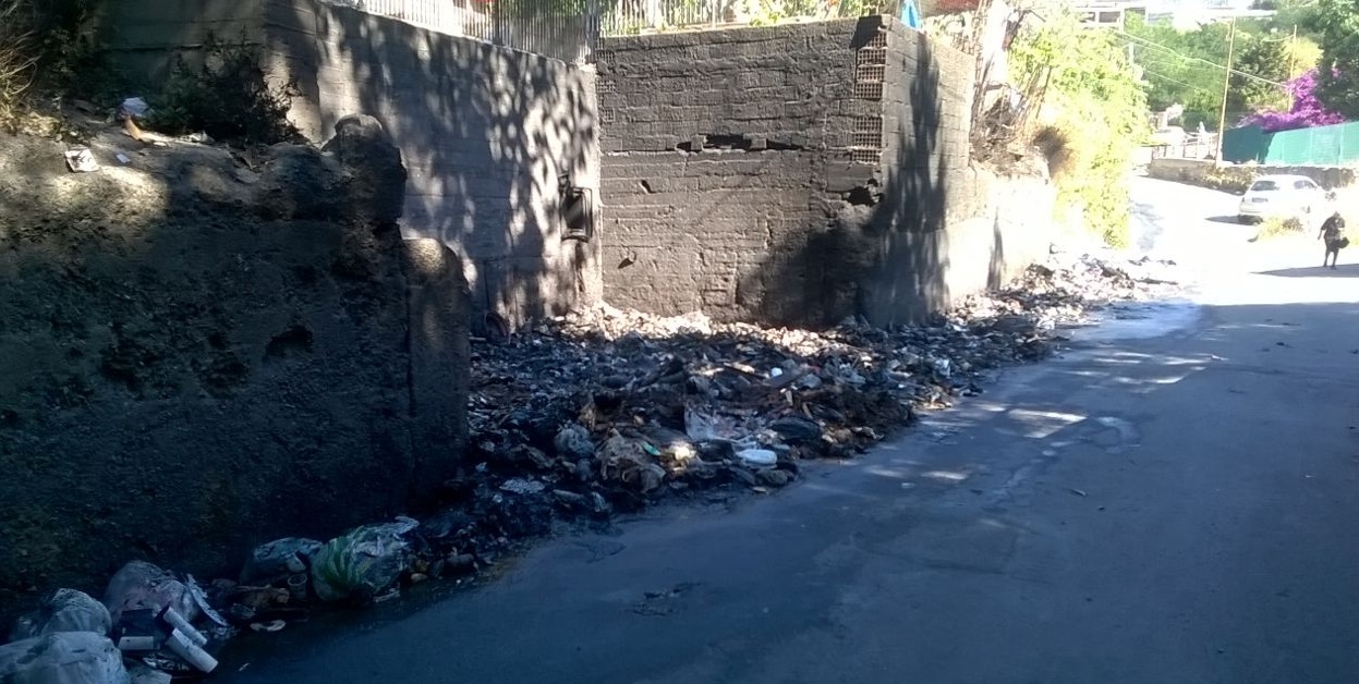 Villa Lina, allarme diossina. La denuncia di Bucalo e Vivi Giostra