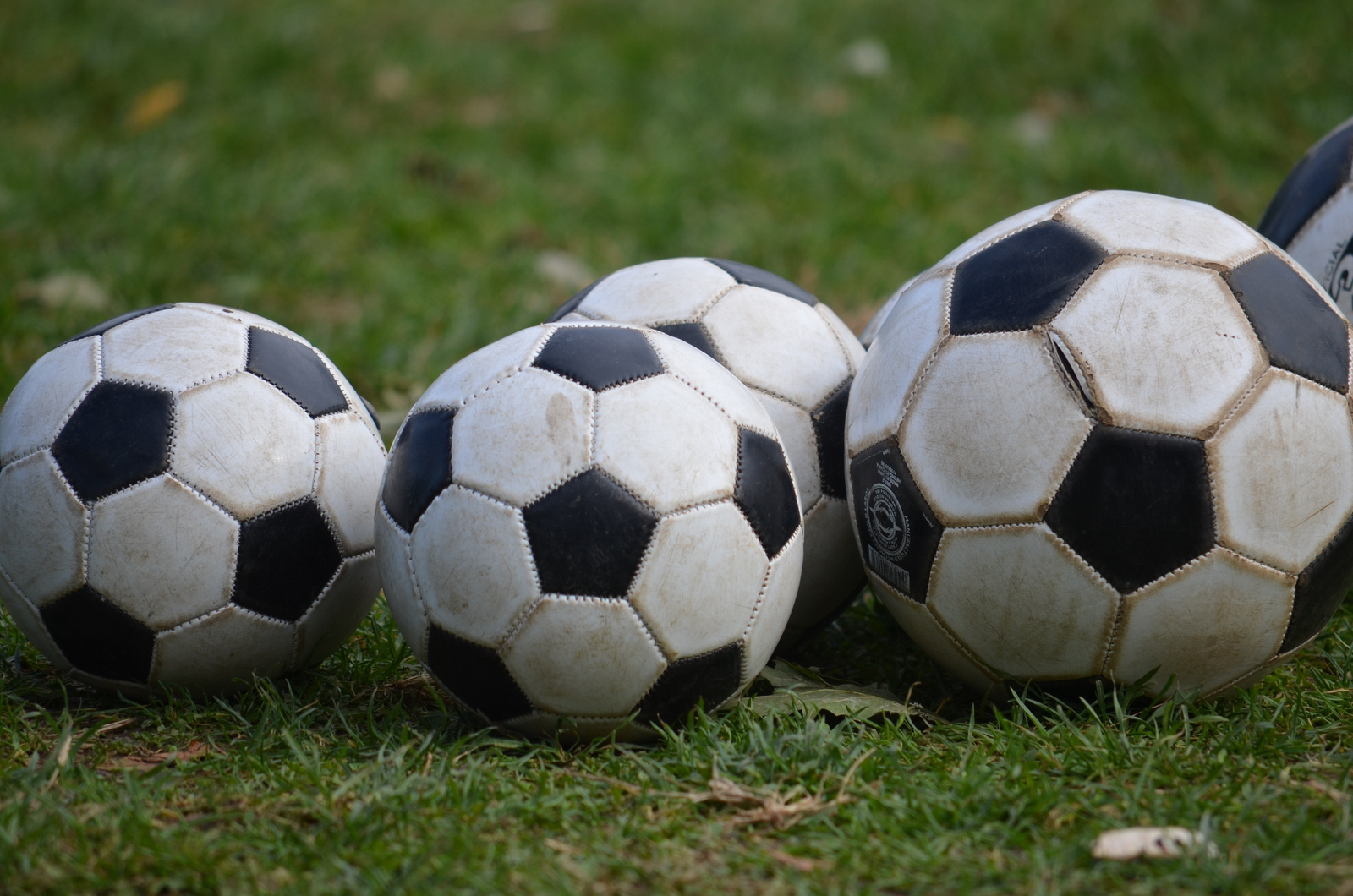 Calcio, si propone anche il gruppo Sciotto