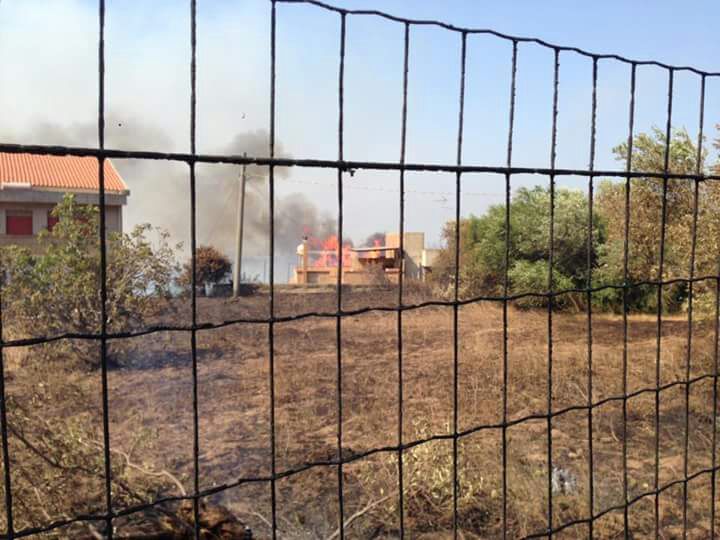 Incendi in Sicilia: animali usati come inneschi, denuncia di Aidaa