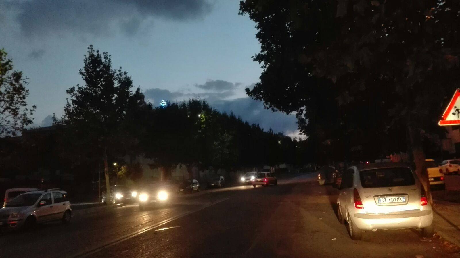 Lampioni nascosti da alberi, viale Giostra non si pota e si guida “alla cieca”