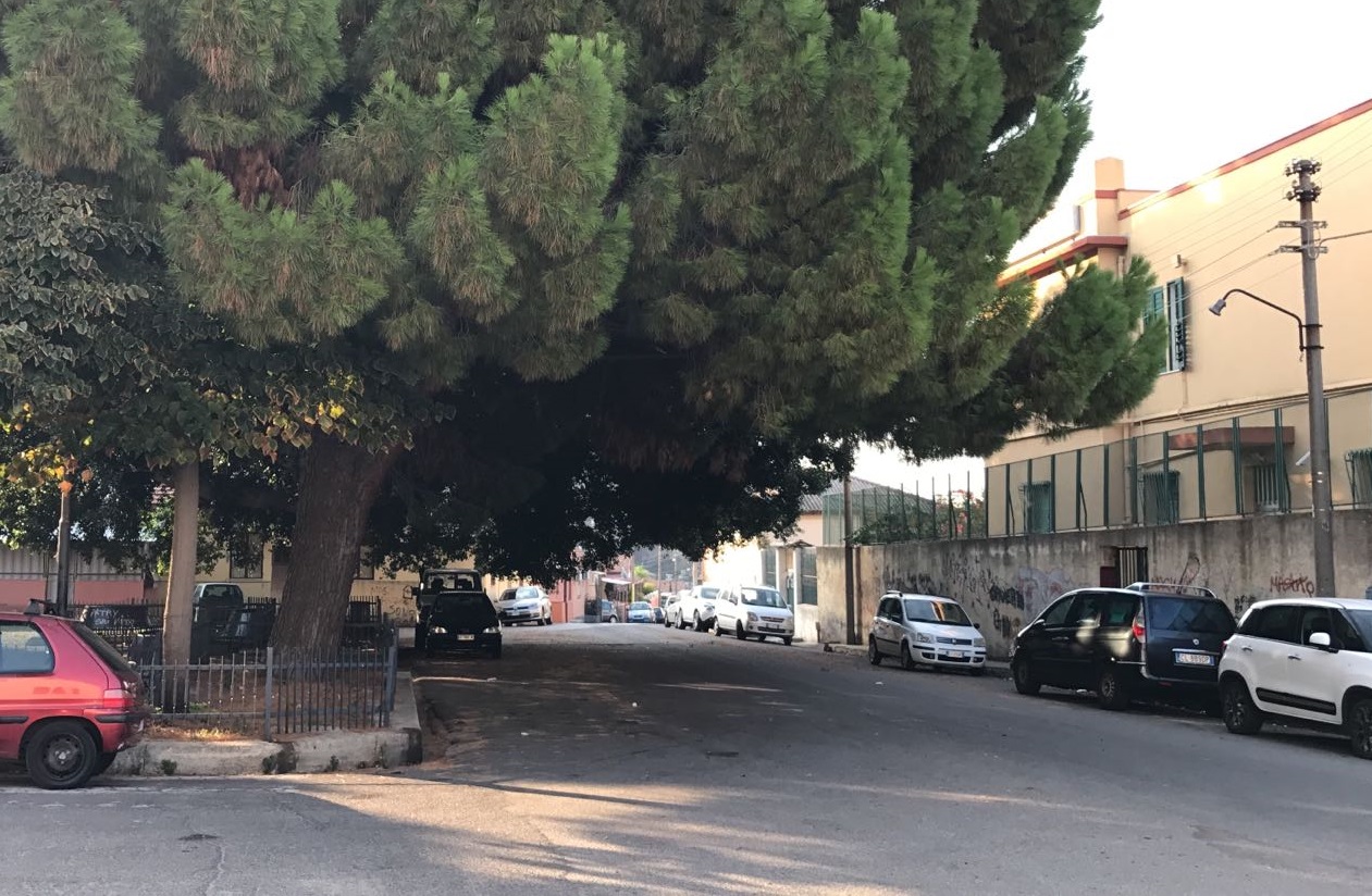 Cacciotto lancia l'Sos: "Alberi pericolanti nella piazza Passionisti di Bisconte"