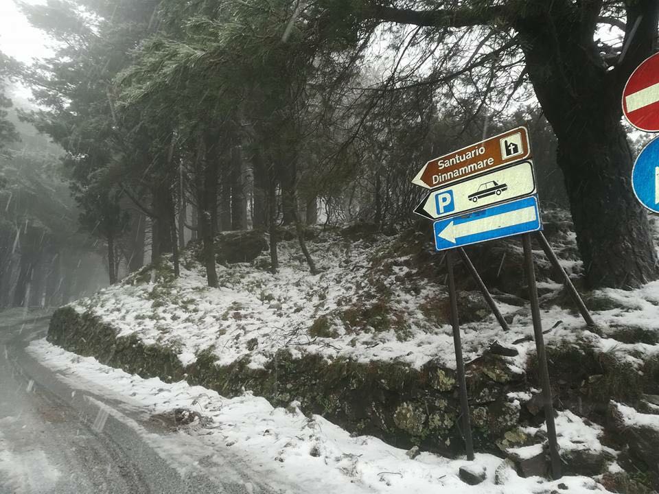 Gelo, neve sui Nebrodi e sui Peloritani