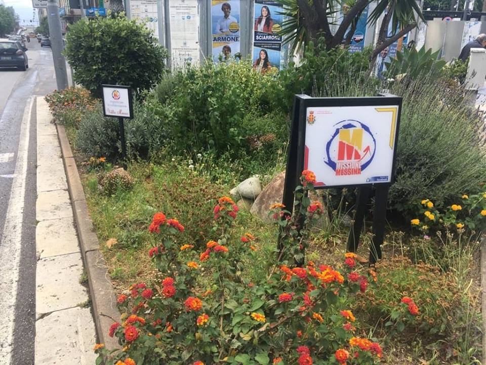 Aiuola di piazza Cairoli, qualche erbaccia di troppo: presto gli interventi