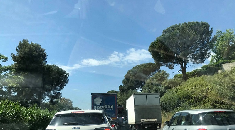 Incendi dolosi, CittadinanzAttiva interpella Prefetto e Cas: “Troppa incuria e folta vegetazione”